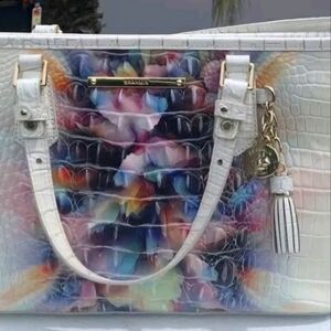 Brahmin mini Asher prism bag